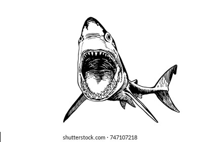 Graphical shark with open mouth isolated on white background,vector shark for tattoo, coloring and printing