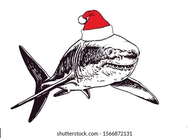 Graphical shark in Santa Claus hat isolated on white background,new year illustration