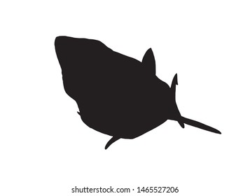 Graphical  shark silhouette isolated on white, vector illustration for logo, tattoo and printing