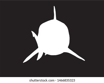 Graphical shark silhouette isolated on black , vector illustration