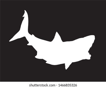 Graphical shark silhouette isolated on black , vector illustration