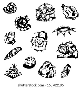 graphical shells, stones and a fir cone