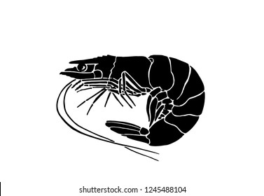 Graphical shrimp isolated on white background,vector illustration for tattoo and printing