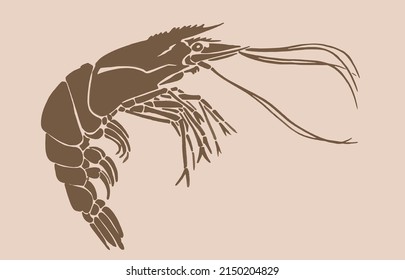 Graphical  shrimp , sepia background, vector vintage illustration, sea-food element