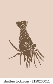 camarón gráfico, fondo sepia, ilustración vintage vectorial, elemento marino-alimenticio