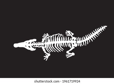 Graphical silhouette of crocodile skeleton on black,fossils 