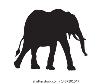 Graphical silhouette of elephant isolated on white background,vector illustration