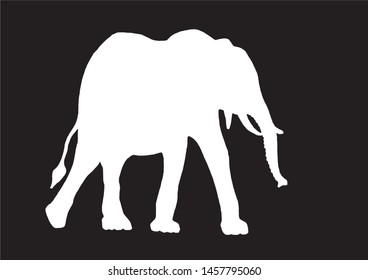 Graphical silhouette of elephant isolated on black background,vector illustration