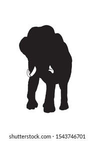 Graphical silhouette of elephant isolated on white background,vector illustration