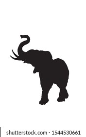Graphical silhouette of elephant isolated on white background,vector illustration