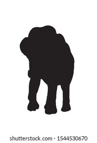 Graphical silhouette of elephant isolated on white background,vector illustration
