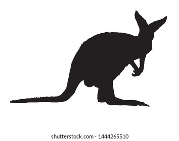 Graphical silhouette of kangaroo isolated on white background,vector illustration,logo design