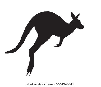 Graphical silhouette of kangaroo isolated on white background,vector illustration,logo design