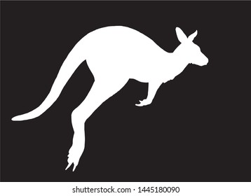 Graphical silhouette of kangaroo isolated on black background,vector engraved illustration.