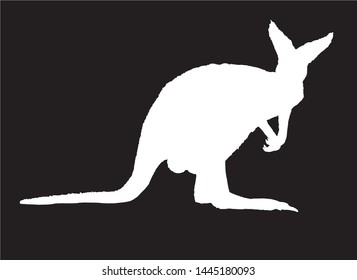 Graphical silhouette of kangaroo isolated on black background,vector engraved illustration.
