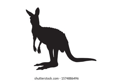 Graphical silhouette of kangaroo isolated on white background,vector illustration