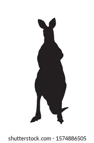 Graphical silhouette of kangaroo isolated on white background,vector illustration