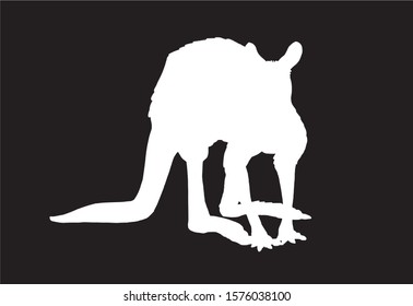 Graphical silhouette of kangaroo isolated on black background,vector engraved illustration