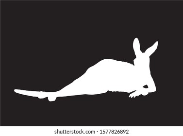 Graphical silhouette of kangaroo isolated on black background,vector engraved illustration