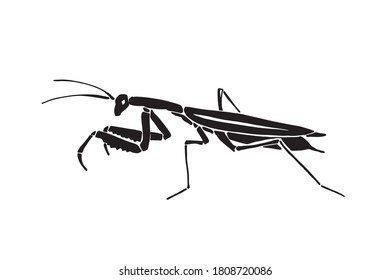 Black White Silhouette Shrimp Stock Vector (Royalty Free) 1263393148 ...