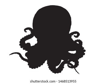 Graphical silhouette of octopus isolated on white,vector illustration