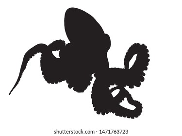 Graphical silhouette of 
octopus isolated on white background,vector illustration,sea-food icon