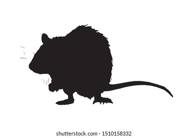 Graphical silhouette of rat isolated on white,vector illustration