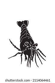 Graphical silhouette of royal shrimp isolated on white ,vector illustration,seafood