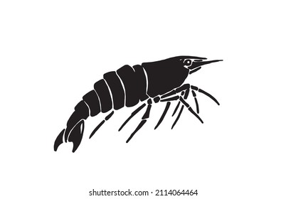 Graphical silhouette of royal shrimp isolated on white ,vector illustration,seafood