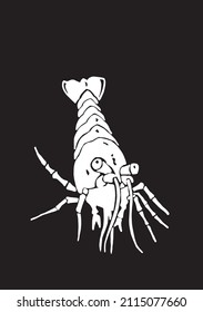 Graphical silhouette of royal shrimp isolated on black ,vector engraved illustration,seafood