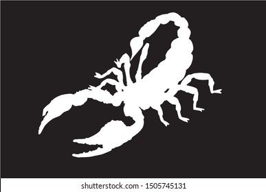 Graphical silhouette of scorpion isolated on black background, vector illustration