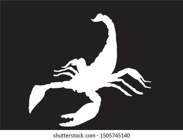 Graphical silhouette of scorpion isolated on black background, vector illustration