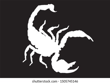 Graphical silhouette of scorpion isolated on black background, vector illustration
