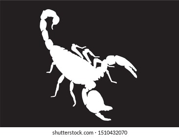 Graphical silhouette of scorpion isolated on black background,vector engraved illustration