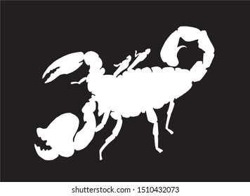 Graphical silhouette of scorpion isolated on black background,vector engraved illustration