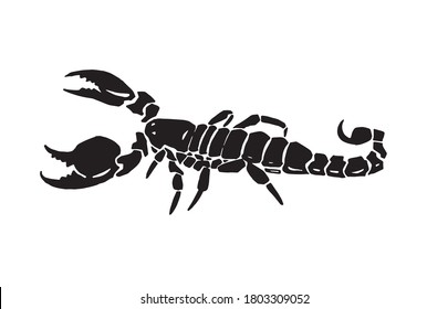 Graphical silhouette of scorpion isolated on white backgound,vector