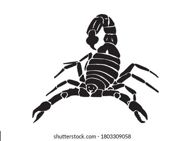 Graphical silhouette of scorpion isolated on white backgound,vector