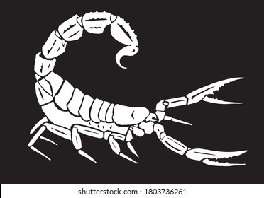 Graphical silhouette of scorpion isolated on black backgound,vector engraved illustration