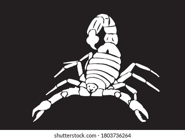 Graphical silhouette of scorpion isolated on black backgound,vector engraved illustration