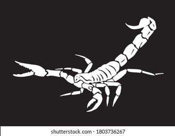 Graphical silhouette of scorpion isolated on black backgound,vector engraved illustration