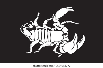 Graphical silhouette of scorpion isolated on black,vector engraved illustration for design and tattoo