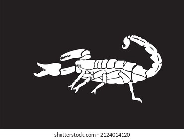 Graphical silhouette of scorpion isolated on black,vector engraved illustration for design and tattoo