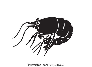 Graphical silhouette of shrimp isolated on white ,vector illustration,seafood