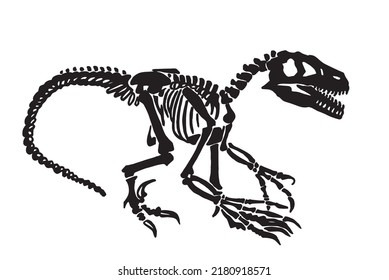 Graphical silhouette of skeleton raptor isolated on white, vector dinosaur of jurassic period, illustration for educational books,printing and design