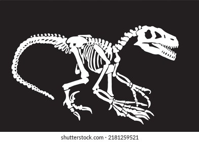 Graphical silhouette of skeleton raptor isolated on  black, vector dinosaur of jurassic period, illustration for educational books,printing and design