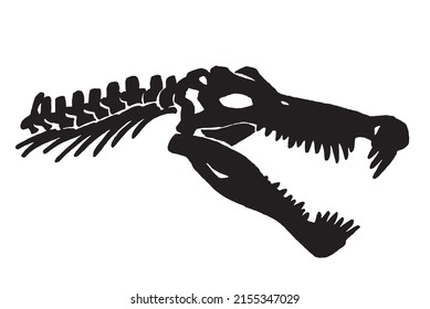 Graphical silhouette  of spinosaurus skull isolated on white background,paleontology,vector illustration