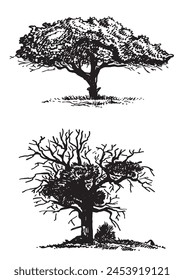 Graphical silhouette of trees on white background, vector illustration. Ink pen illustration,ecology 
