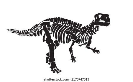 Graphical silhouette of tyrannosaurus attacking isolated on white,vector illustration for design and tattoo