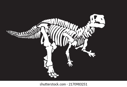 Graphical silhouette of tyrannosaurus skeleton  attacking isolated on black,vector engraved  illustration for design and tattoo