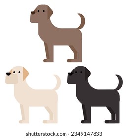 Graphical and simple Labrador color variation illustration.